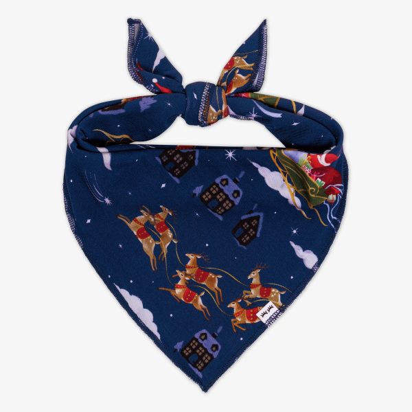 Santa's Sleigh Pet Bandana
