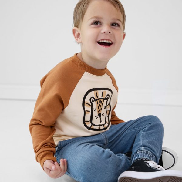Arctic Raglan Crewneck