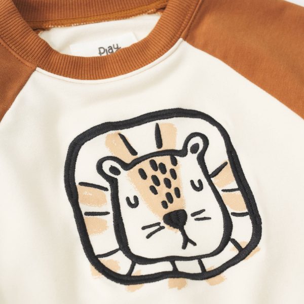 Arctic Raglan Crewneck