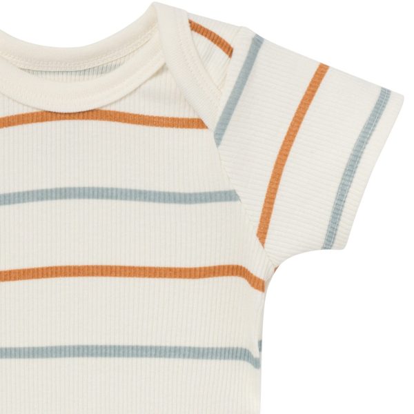 4-Piece Baby Boys Ivory Stripe Short Sleeve Bodysuits and Shorts Set