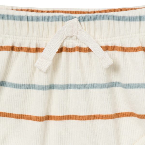 4-Piece Baby Boys Ivory Stripe Short Sleeve Bodysuits and Shorts Set