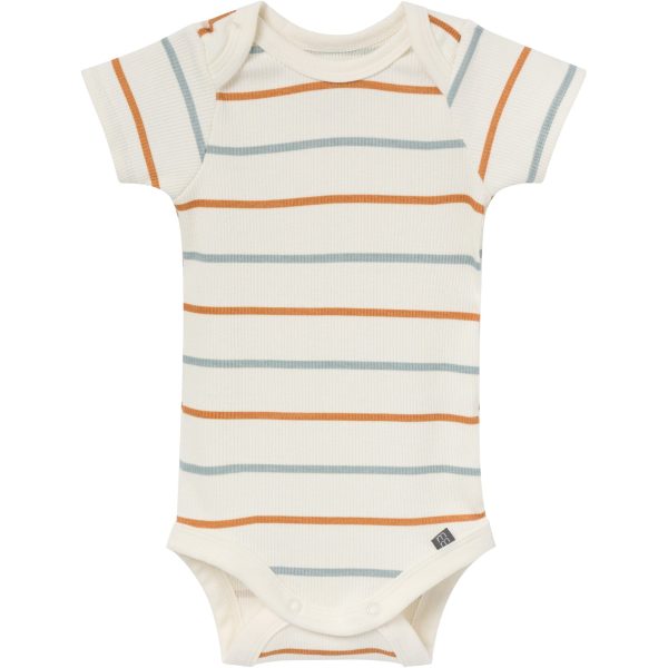 4-Piece Baby Boys Ivory Stripe Short Sleeve Bodysuits and Shorts Set